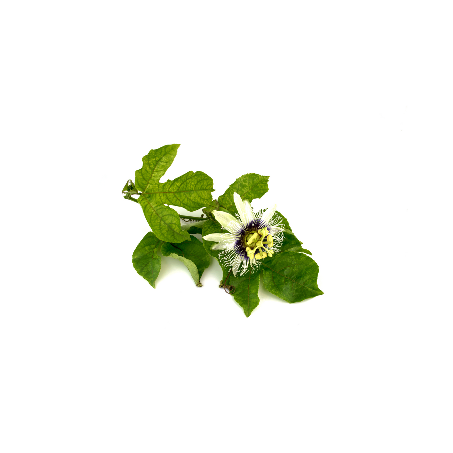 A simple product