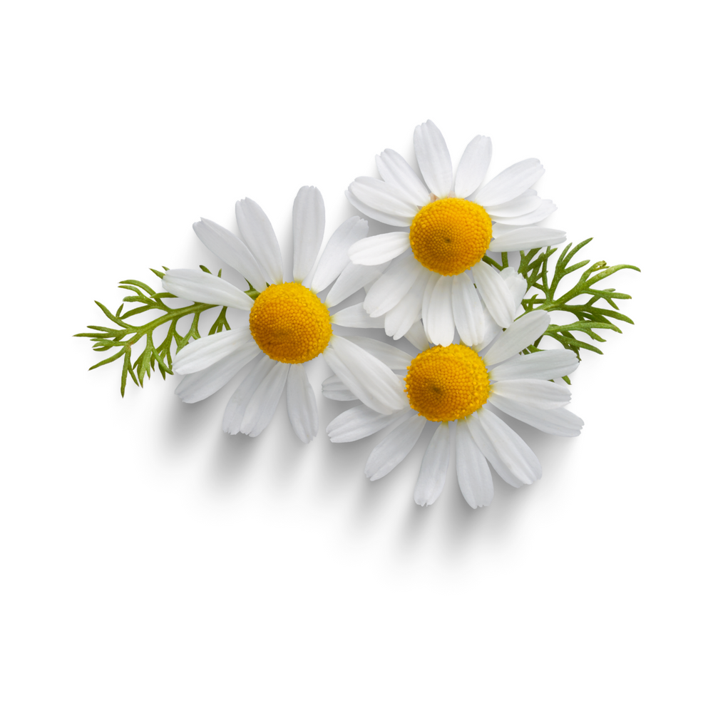 A simple product